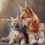 Seehotel Brandenburg An Der Havel Hotel Brielow